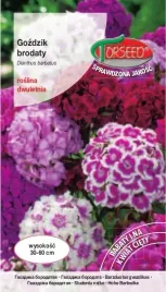 nasiona-gozdzik-brodaty-wysoki-pelny-mieszanka-05g-torseed