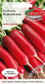 rzodkiewka-wczesna-de-dix-huit-hours-wczesna-18-dni