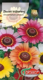 nasiona-zlocien-trojbarwny-mieszanka-torseed