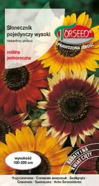 nasiona-slonecznik-kwiatowy-pojedynczy-wysoki-mieszanka-torseed