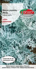 nasiona-mrozy-starzec-popielaty-popielate-05g-torseed