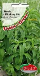 nasiona-stewia-miodowy-lisc-stevia-rebaudiana-1