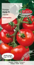 nasiona-pomidor-wysoki-hardy-f1-01g-torseed