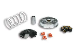 wariator-do-honda-nhx-110-lead-4t-malossi-multivar-2000