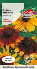 nasiona-rudbekia-dwubarwna-zoltopom-z-brun-czerw-plama-2g-torseed