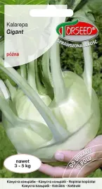 nasiona-kalarepa-gigant-1g-torseed
