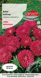 nasiona-aster-karlowy-karminowy-05g-torseed