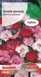 nasiona-gozdzik-pierzasty-mieszanka-05g-torseed