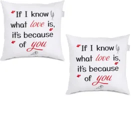 2x-poduszka-dekoracyjna-40x40cm-if-i-know-what-love-is-its-because-of-you