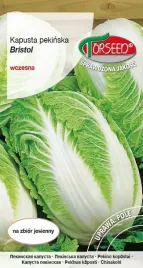nasiona-kapusta-pekinska-bristol-05g-torseed