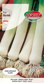 nasiona-por-bartek-pozny-torseed-najpopularniejsza-odmiana-pora-zimujacy