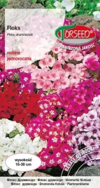 nasiona-floks-mieszanka-1g-torseed