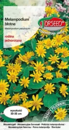 nasiona-melampodium-blotne-zolte-03g-torseed