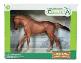 klacz-rady-thoroughbred-masci-chestnut-collecta