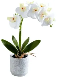 storczyk-bialy-sztuczny-w-cementowej-doniczce-36-cm-orchidea-biel-dekoracja