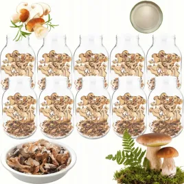 sloiki-3000ml-3l-na-ogorki-soki-suszone-grzyby-nalewki-10sztuk-100mm-pzh