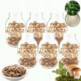 sloiki-3000ml-3l-na-ogorki-soki-grzyby-nalewki-6kpl-zakretki-100mm-pzh