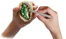 dino-eggs