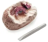 dino-eggs-wiek-dziecka-5-lat