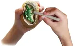 dino-eggs-szerokosc-produktu-6-cm