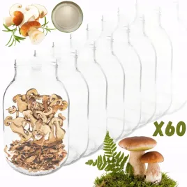sloiki-3000ml-3l-na-ogorki-soki-suszone-grzyby-nalewki-60sztuk-100mm-pzh