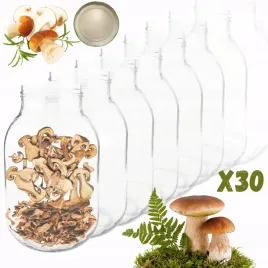 sloiki-3000ml-3l-na-ogorki-soki-suszone-grzyby-nalewki-30sztuk-100mm-pzh