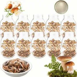 sloiki-3000ml-3l-na-ogorki-soki-suszone-grzyby-nalewki-10sztuk-100mm-pzh
