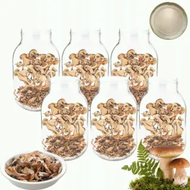 sloiki-3000ml-3l-na-ogorki-soki-suszone-grzyby-nalewki-6sztuk-100mm-pzh