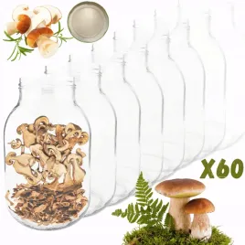 sloiki-3000ml-3l-na-ogorki-soki-suszone-grzyby-nalewki-60sztuk-100mm-pzh