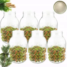 sloiki-4000ml-4l-na-ogorki-soki-cukinia-suszone-grzyby-nalewki-6szt-100mm