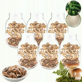 sloiki-3000ml-3l-na-ogorki-soki-grzyby-nalewki-6kpl-zakretki-100mm-pzh