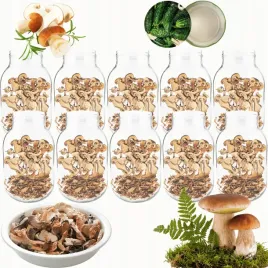 sloiki-3000ml-3l-na-ogorki-soki-grzyby-nalewki-10kpl-zakretki-100mm-pzh