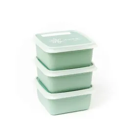 amuse-pojemniki-do-zamrazarki-alaska-bio-3x500ml