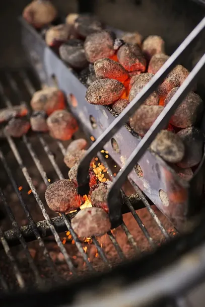 szczypce-grillowe-bbq-kod-producenta-87616