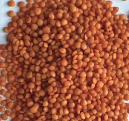 soczewica-czerwona-5kg-soczewica-cale-ziarna-5-kg-top-food-hurt