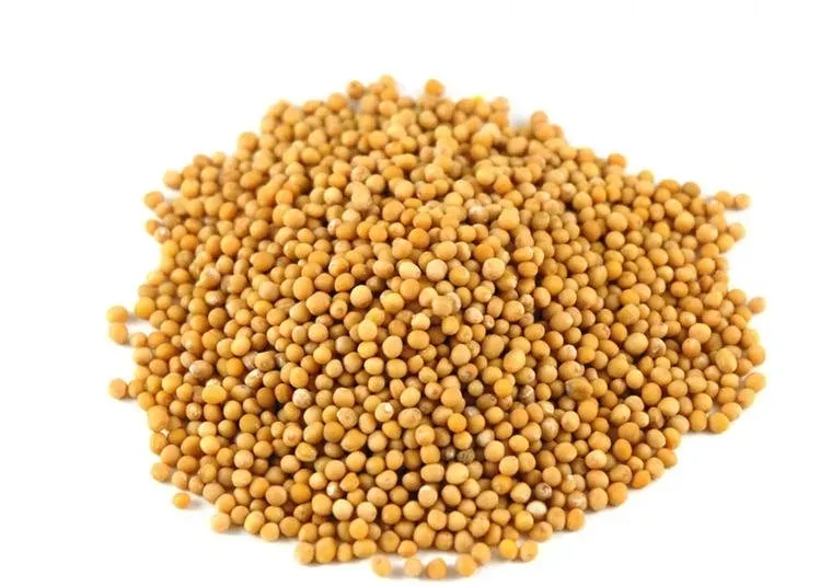 gorczyca-biala-owoc-500g-ziarno-marka-malinowe