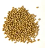gorczyca-biala-owoc-500g-ziarno-stan-nowy