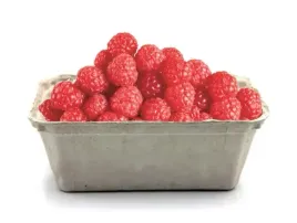 pojemniki-pudelka-lubianki-kobialki-maliny-borowki-grzyby-owoce-250g-20szt