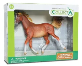 kon-arabski-kasztan-collecta
