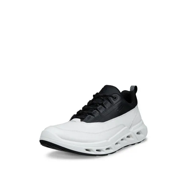 biom-720-gtx-kod-producenta-85030451222-marka-ecco