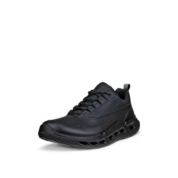 biom-720-gtx-kod-producenta-85030451094-marka-ecco