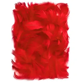 piorka-sztuczne-czerwone-5-12-cm-10szt