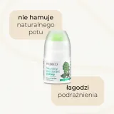 sylveco-naturalny-dezodorant-ziolowy-rodzaj-roll-on-w-kulce