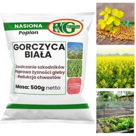 nasiona-na-poplon-miododajna-gorczyca-material-paszowy-wysoka-jakosc-500g