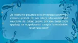 w-harmonii-z-psem-stan-nowy