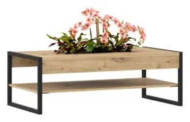 stolik-z-miejscem-na-kwiaty-polypody-cftt5076-forte-artisan