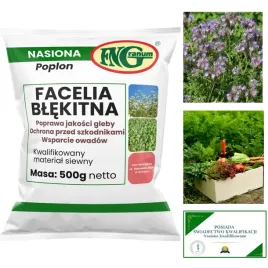 nasiona-na-poplon-facelia-blekitna-poplonowa-roslina-dla-pszczol-500g