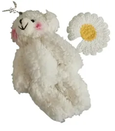 mis-kwiatek-teddybloom