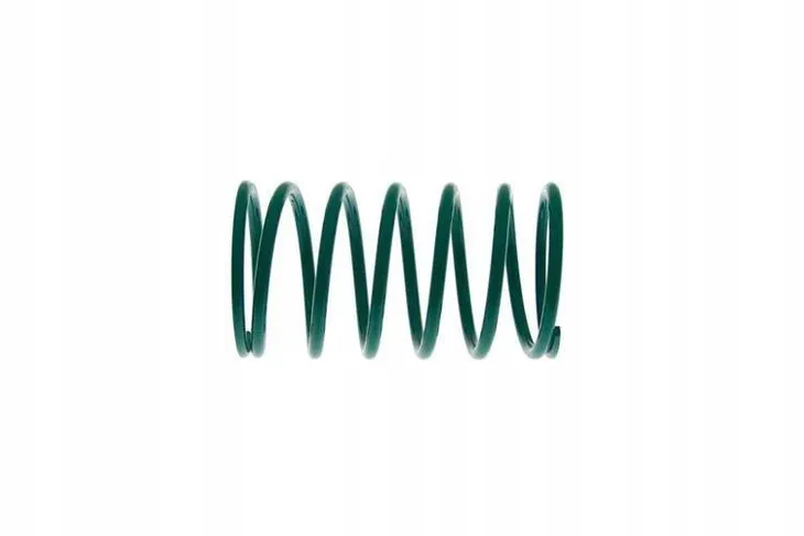 sprezyna-do-wastegate-49mm-0-6-bar-jakosc-czesci-zgodnie-z-gvo-z-zamiennik