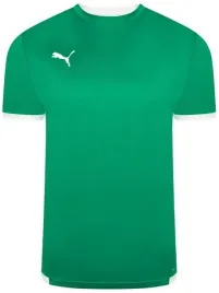 koszulka-meska-puma-teamliga-704917-05-pilkarska-trening-do-gry-na-hali-s